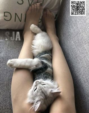 九七电影网在线_高清完整版