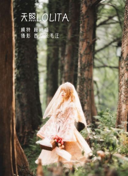 赘婿之吉兴高照_BD国语免费在线观看